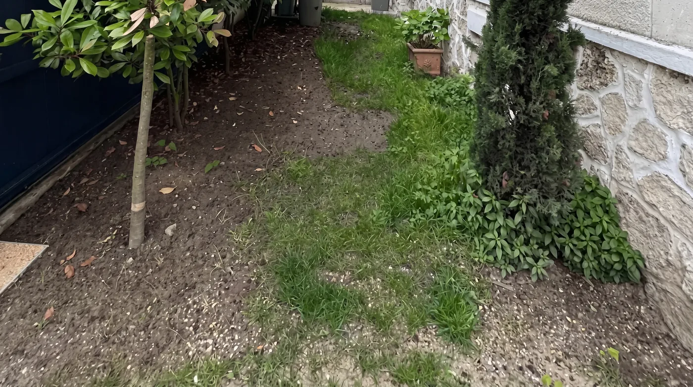 Jardin avant intervention — réalisation 2